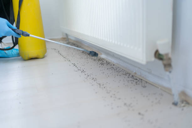 Best Pest Control for Restaurants  in Pender, NE