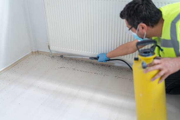 Reliable Pender, NE Pest Control Solutions