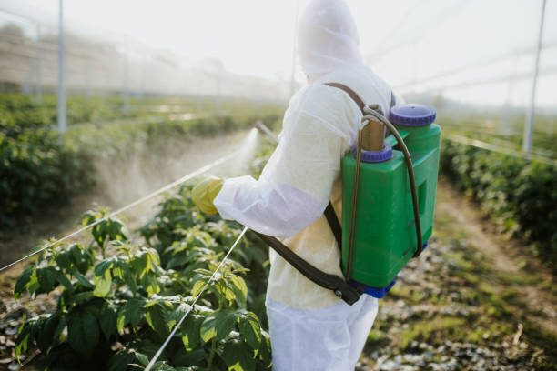 Best Pest Inspection Near Me  in Pender, NE